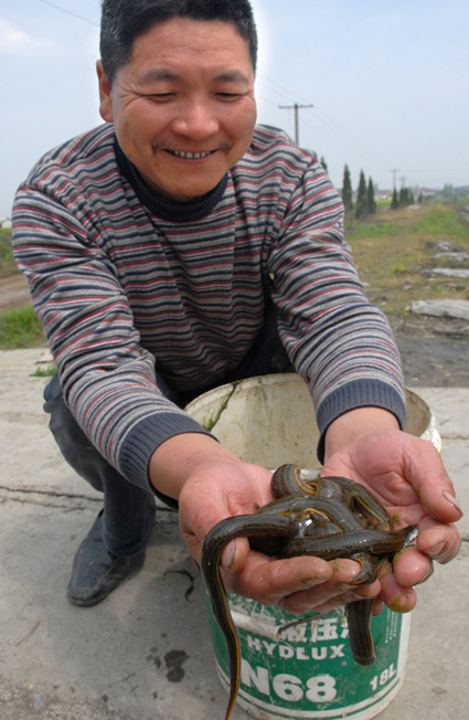 寻找市场空白巧致富--德清新闻网