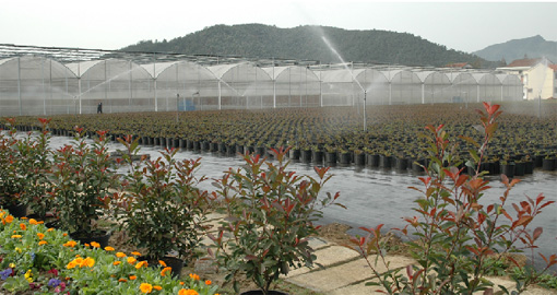 特色林业壮大绿色产业--德清新闻网