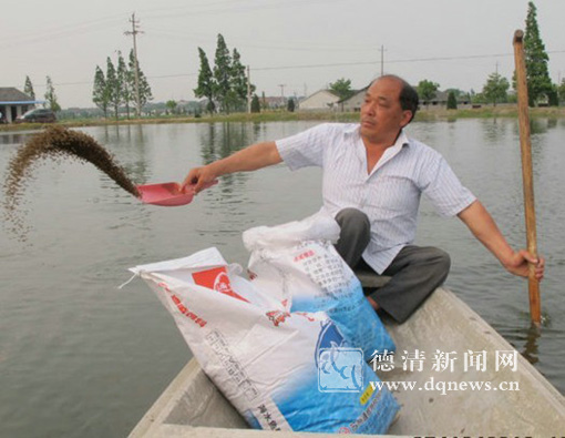 仲永根:从河蚌老大到白鱼老大|德清焦点 - 德清