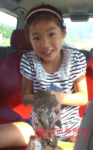 9岁<em>小女孩</em> 护送<em>幼</em>鹰找家--德清新闻网